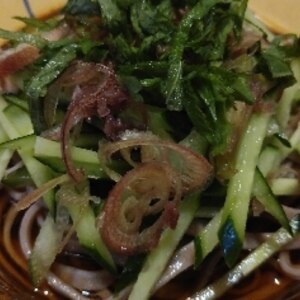 薬味たっぷり、さっぱりぶっかけ蕎麦